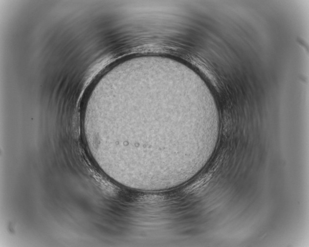 X0000096131075200802081320