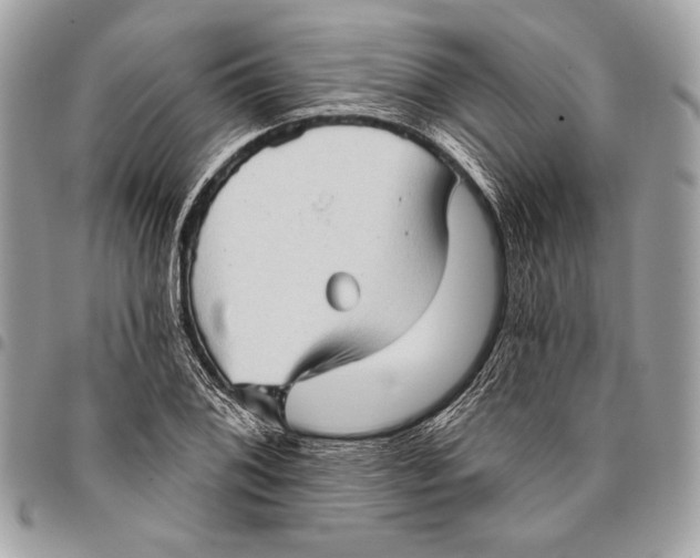 X0000096131076200802081320
