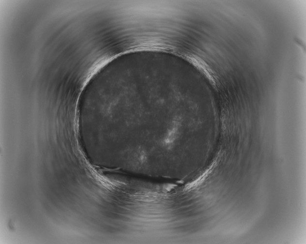 X0000096131077200802081320