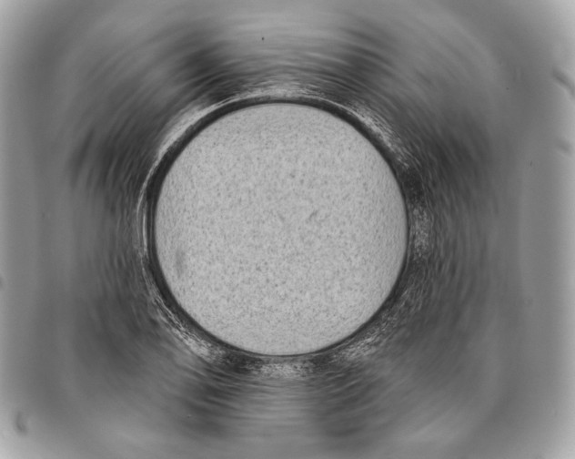 X0000096131078200802081320