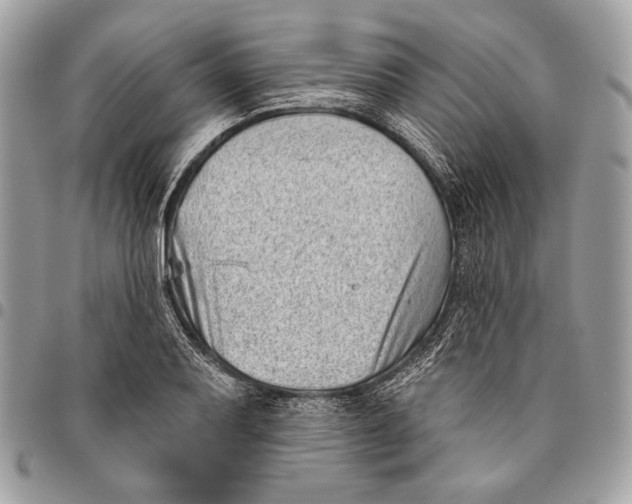 X0000096131079200802081320
