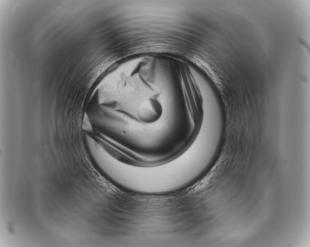 X0000096131081200802081320