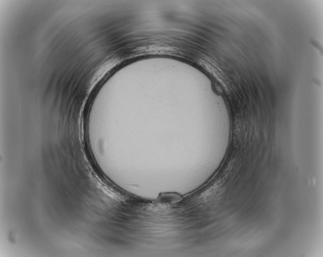 X0000096131082200802081320