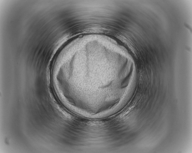 X0000096131083200802081320