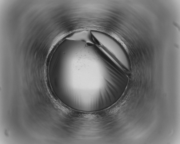 X0000096131085200802081320