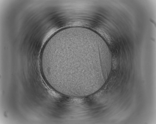 X0000096131086200802081320