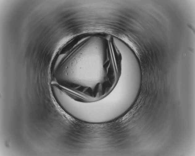 X0000096131088200802081320