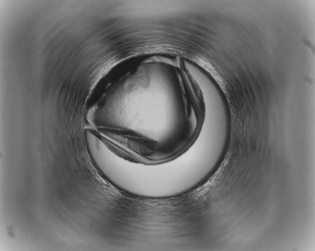 X0000096131089200802081320