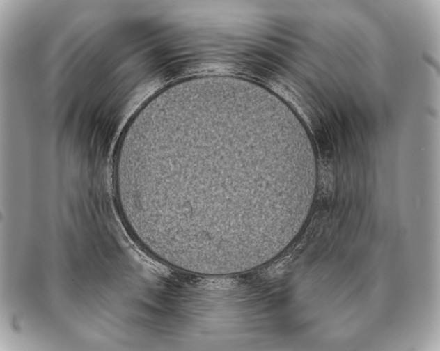 X0000096131090200802081320