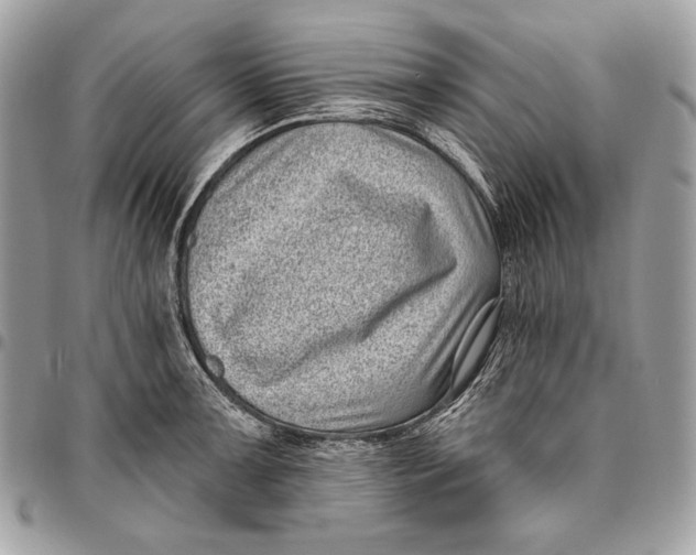 X0000096131091200802081320