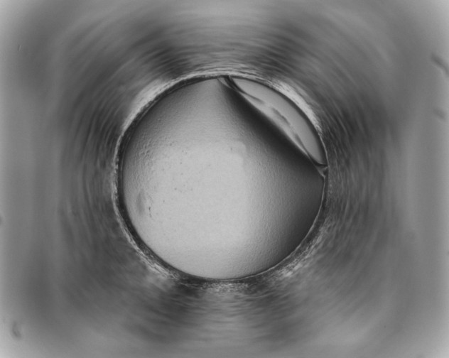 X0000096131093200802081320