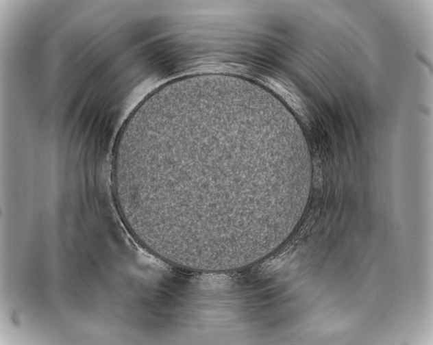 X0000096131094200802081320