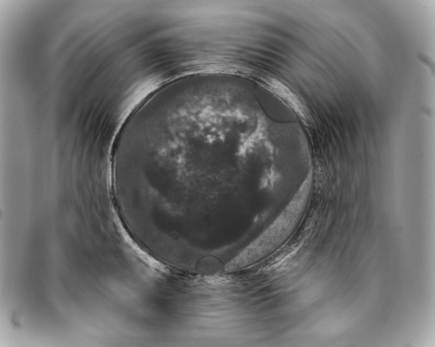 X0000096131095200802081320