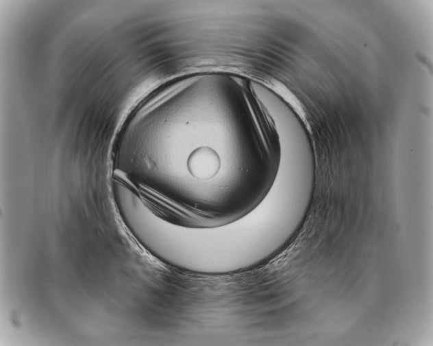 X0000096131096200802081319