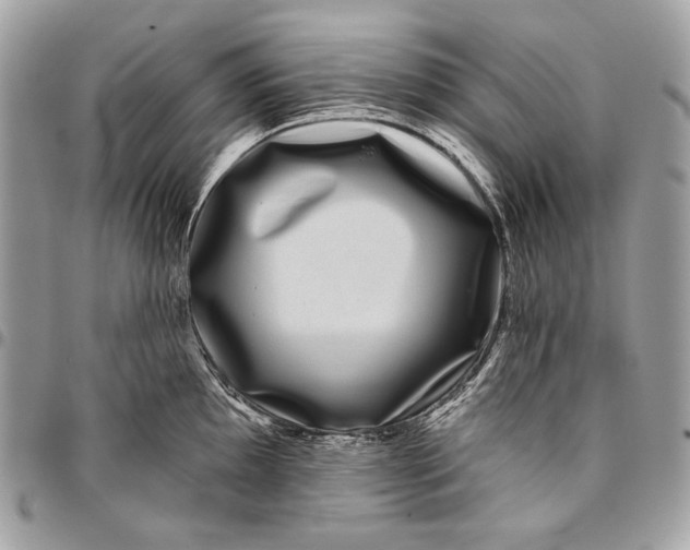 X0000096131097200802081319