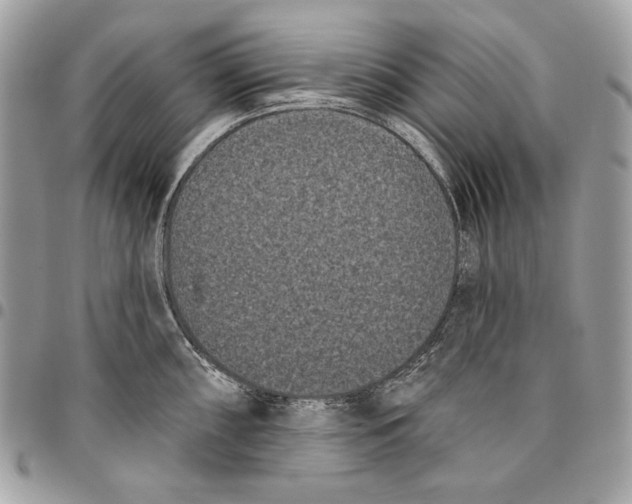 X0000096131098200802081319