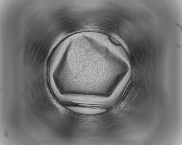 X0000096131099200802081319