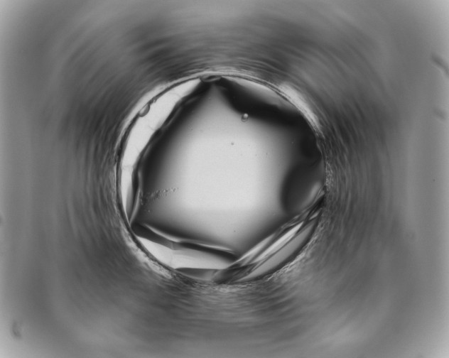 X0000096131100200802081319