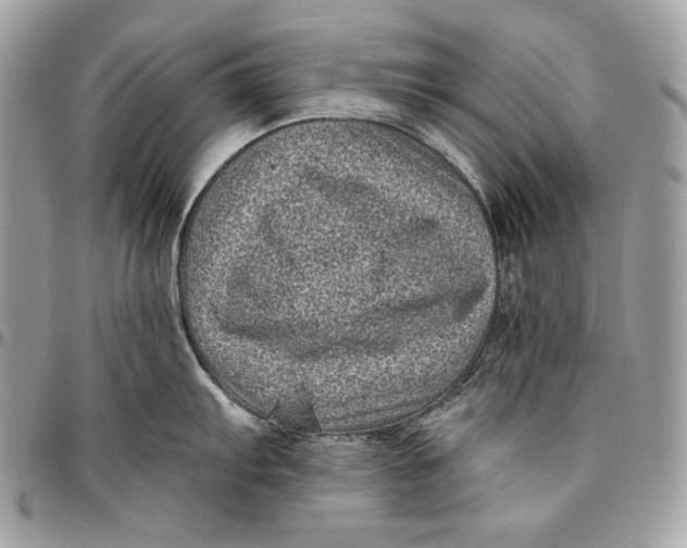 X0000096131103200802081319