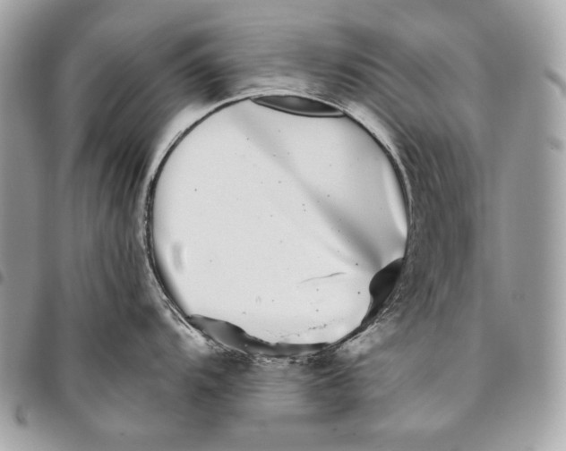 X0000096131104200802081319