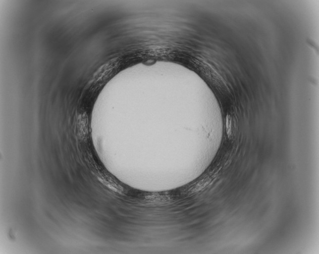 X0000096131107200802081319