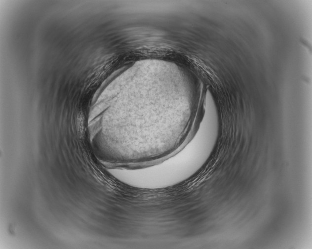 X0000096131108200802081319