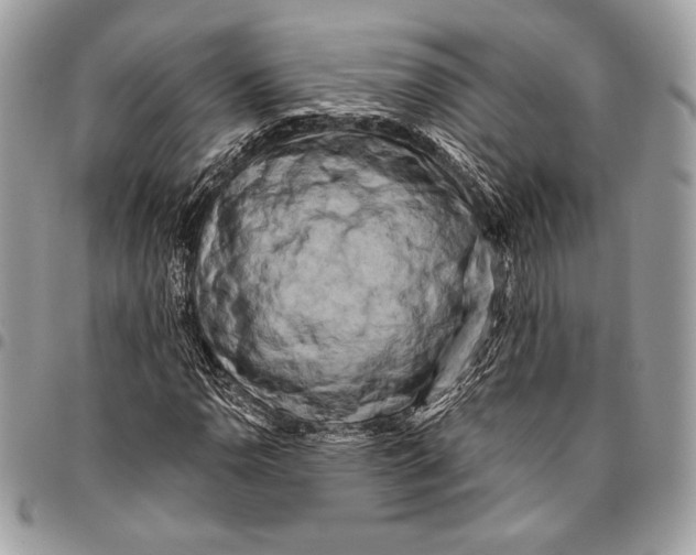 X0000096131110200802081319