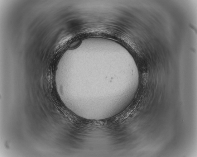 X0000096131111200802081319