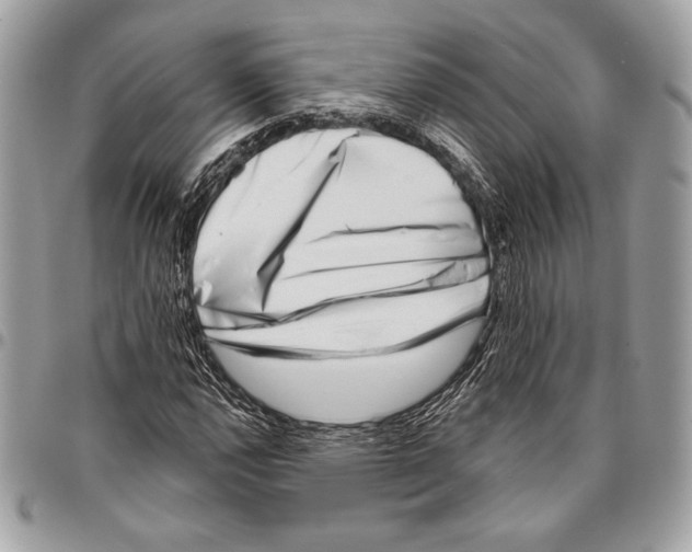 X0000096131112200802081319