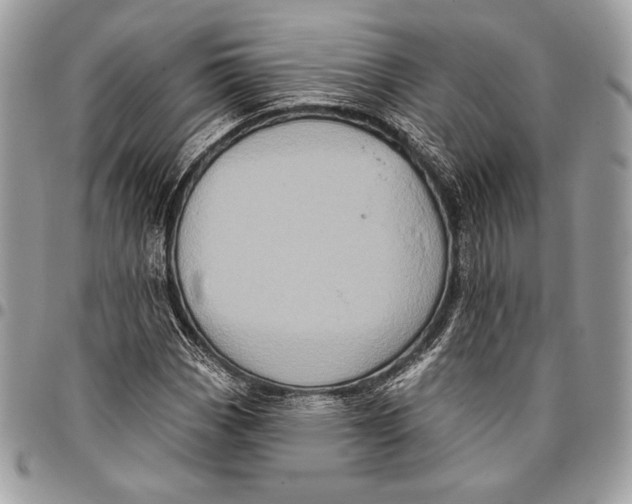 X0000096131113200802081319