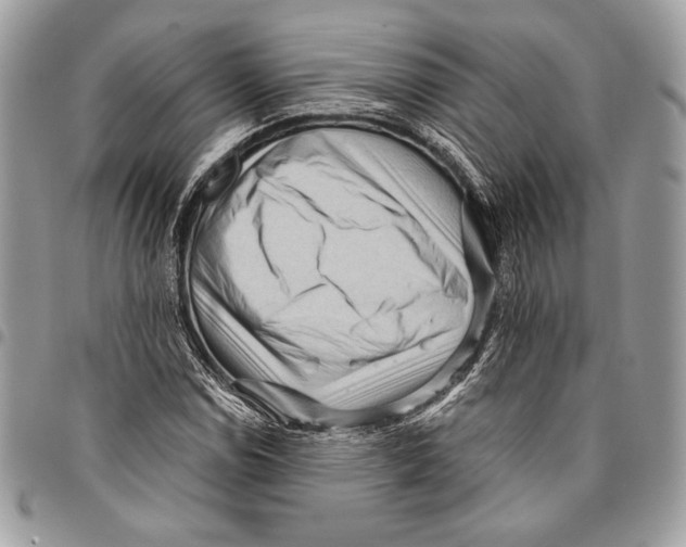 X0000096131114200802081319
