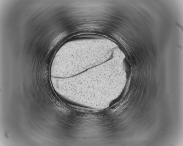X0000096131115200802081319