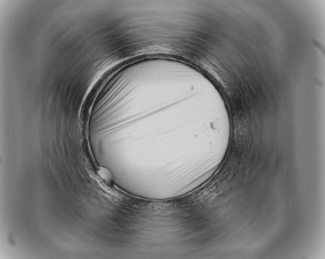 X0000096131116200802081319