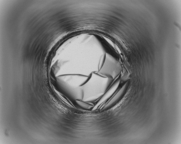 X0000096131118200802081319