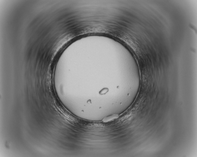 X0000096131119200802081319