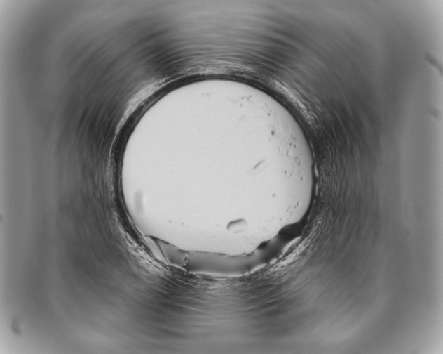 X0000096131122200802081319