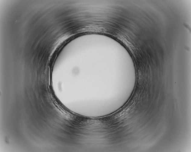 X0000096131123200802081319
