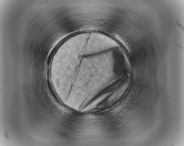 X0000096131124200802081319
