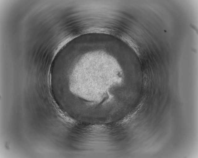 X0000096131125200802081319