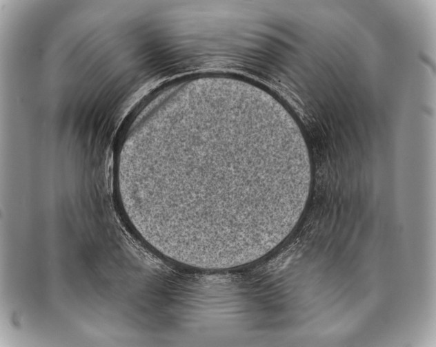 X0000096131126200802081319