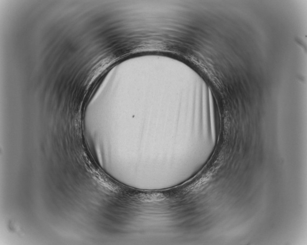 X0000096131129200802081319