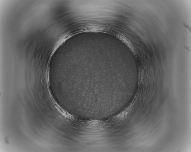 X0000096131130200802081319