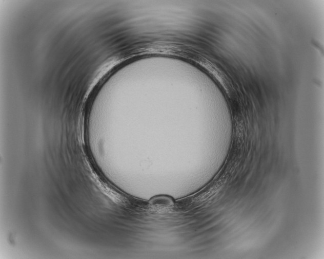 X0000096131131200802081319