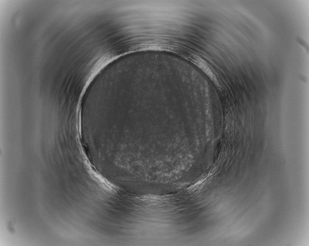 X0000096131132200802081319