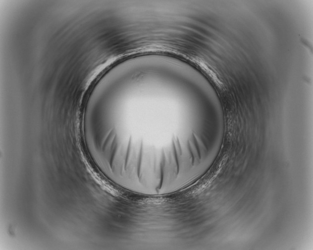 X0000096131134200802081319
