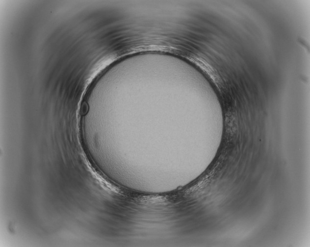X0000096131135200802081319