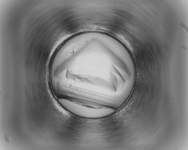 X0000096131136200802081319