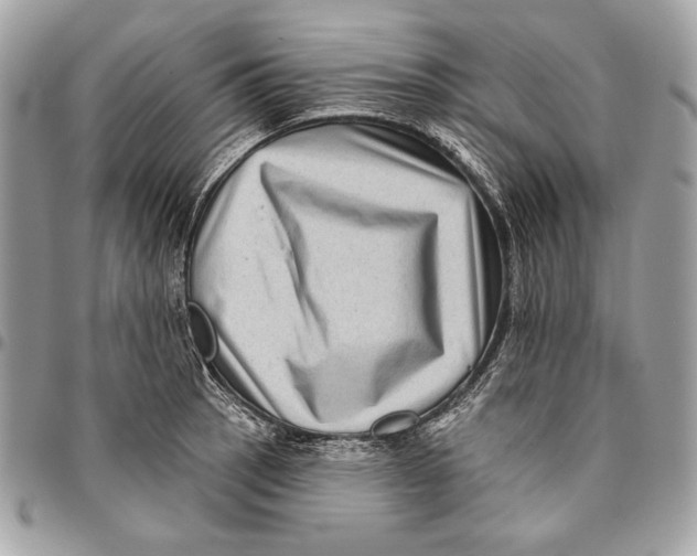 X0000096131137200802081319