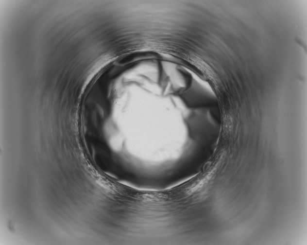 X0000096131138200802081319