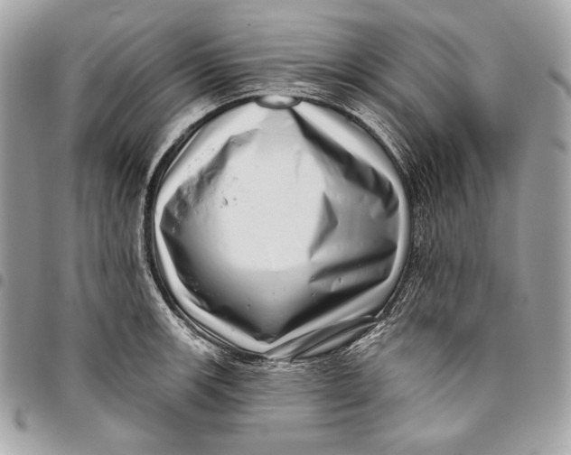 X0000096131139200802081319